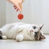 Chaofatchoy Interactive Cat Feather Ball Toy Set - 3pcs Bouncy