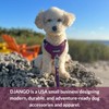 DJANGO Tahoe No Pull Dog Harness - Durable & Comfortable