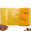 Shampoo and conditioner (Aceite de Ricino, Shampoo Bar)
