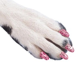 Soft Claws Dog and Cat Nail Caps Take Home Kit, X-Large, Sparkle Pink