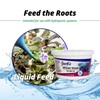 Jack's Classic 12-36-14 African Violet Water-Soluble Fertilizer with Micronutrients for