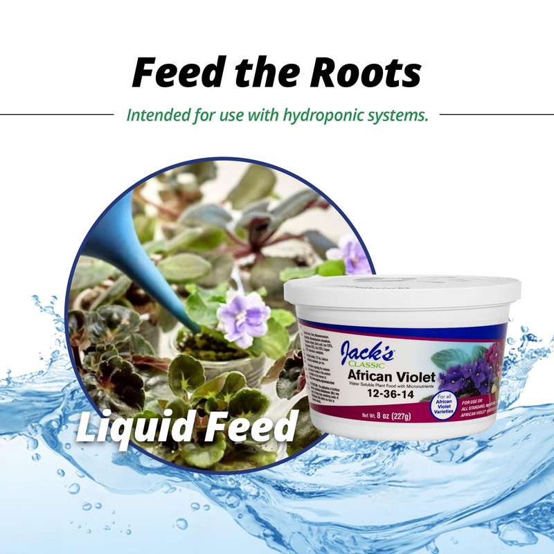 Jack's Classic 12-36-14 African Violet Water-Soluble Fertilizer with Micronutrients for