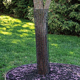 A.M. Leonard Commercial Plastic Mesh Tree Guards, Bundle of 5 (6-Inch Diameter, 48-Inch Length)