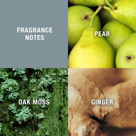 Curve Men's Cologne Fragrance Spray, Casual Day or Night Scent, Curve Crush, 4.2 Fl Oz