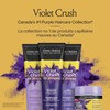 John Frieda Violet Crush Toning Shampoo for Blonde Hair |