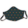 Reusable Protective Mask Green Spain Flag