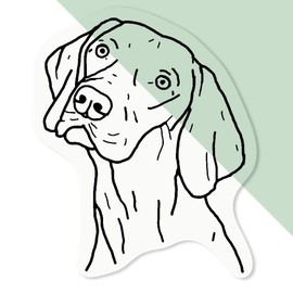 'Vizsla Dog' Clear Sticker Decal – Waterproof Film for Windows, Cars, Walls & Crafts, Medium (100mm) (DC00070282)