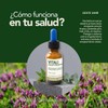 Vitali Adaptógenos Schisandra, Eleuthero, Cordyceps y NAD+