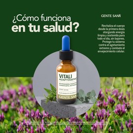 Vitali Adaptógenos Schisandra, Eleuthero, Cordyceps y NAD+