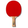 Best Sport Hobby Table Tennis Bat - Multi-Colour