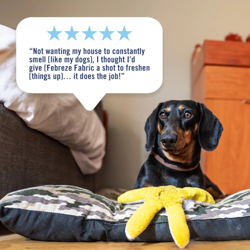 Febreze Fabric Spray Pet Odor Fighter Fresh Scent 23.6 fl