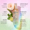 Caudalie Caudalie Beauty Elixir Face Mist: Toner That Tightens Pores