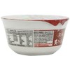 Menraku Tempura Noodles Soup, Udon, 3.17 Ounce