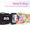 QQPETS Reflective Dog Collar with Soft Neoprene Padded Breathable Nylon