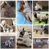 LeerKing Dog Coat with Hood for Small Dogs and Pets,