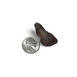 Colombianite Piedra de Rayo “Stone of Lightning'' Pseudo-Tektite, 1pc 8.90 Grams Extremely Rare Irregular Shape, 38mm Natural Healing Crystal from Colombia ID#C