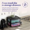 Homz Plastic 2 Drawer Medium Storage Cart, Black Frame with