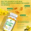 (3 Pack) 9 in 1 Mullein Gummies for Lung Cleanse