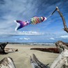 In the Breeze Spectrum Koi Fish Windsock, 3-Feet,Rainbow,4117