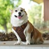 Paipeper Dog Harness, Small Dog Harness, Medium Size Dog Harness,