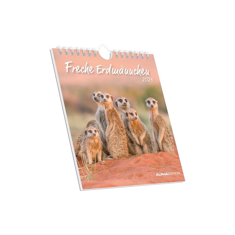Freche Erdmännchen 2026 - Postkartenkalender 16x17 cm