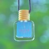 CANVAS Beauty Car Diffuser (Pick Your Scent):_Drunken Peach