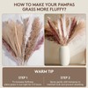 80PCS Mixed Dried Pampas Grass – Boho Vase Decor with