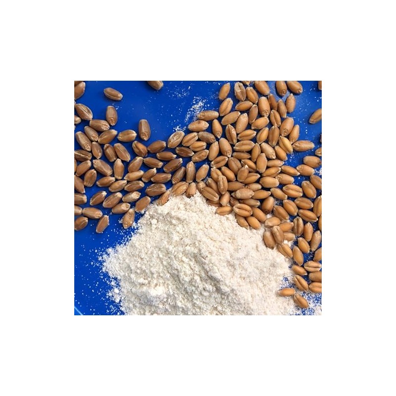 Early Morning Harvest Organic General Purpose Flour - Made from