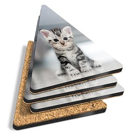 4 x Triangle Coasters - Grey Tabby Bengal Pet Kitten Animals Cork Backed MDF Glossy Tea Coffee Accessory #8433