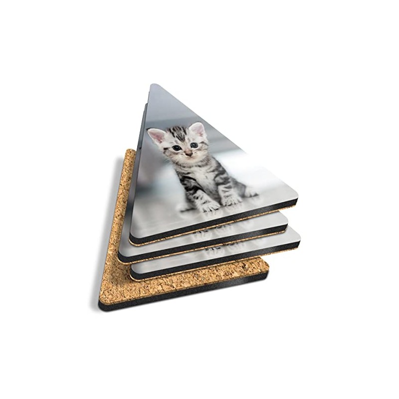 4 x Triangle Coasters - Grey Tabby Bengal Pet Kitten