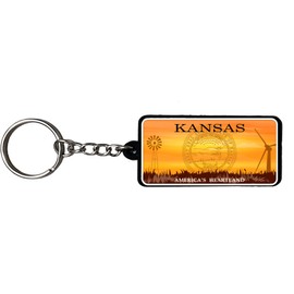 AMERICANPHOENIX Beautiful & Unique Keychain - USA Souvenir, Collectible Design, Flexible Silicone, Keyring Lanyard Accessory (Kansas 1)