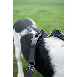 Brody The Dog heavy duty dog lead, anti twist, for medium and large dogs (Black)