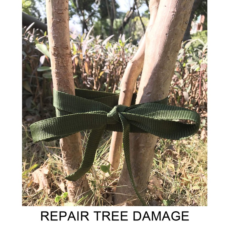 Alshurlife Tree Tie Straps 50 Feet x 3/4 inch Tree