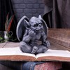 Nemesis Now Laverne Gargoyle Figurine, 13 cm, Dark Black