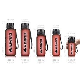 Alphapace leakproof Water Bottle, 650 Litre, BPA-Free Water Bottle for Sports, Cycling & Outdoor Activities, with Fruit Infuser.