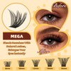 QUEWEL Cluster Lashes Kit, 144pcs Lash Clusters with Lash Bond