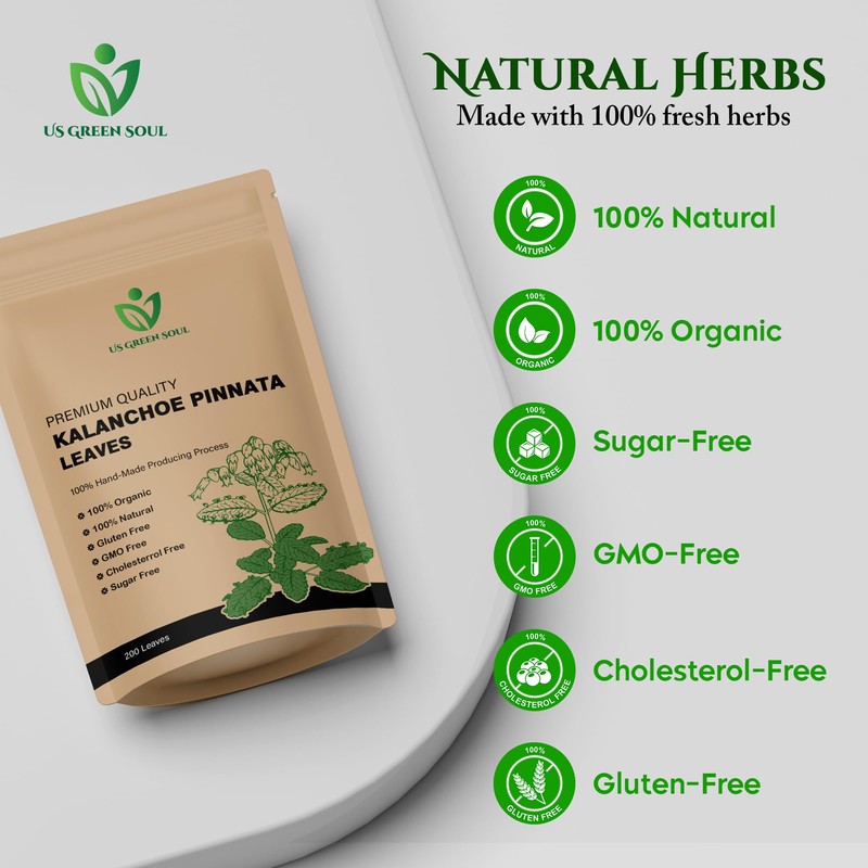 200 Kalanchoe Pinnata Leaves - 100% Pure, Organic, Dried Leaves