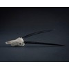 Skullies - Miniature Gemsbok Skull (3D Printed Animal Skull)