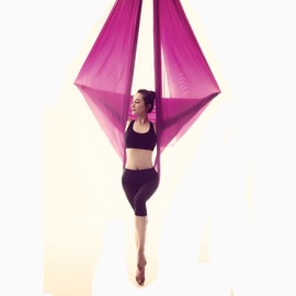 wellsem Deluxe L:5.5 Yards W:3 Yard Pilates Yoga Flying Swing Aerial Yoga Hammock Silk Fabric for Yoga Bodybuilding(5mx2.8m) (Wine)