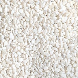 Midwest Hearth Decorative White Bean Pebbles 1/5" Size (2-lb Bag)