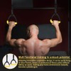 2 Pack Sport Hanging Rings Set,Sport Gymnastic Rings,Adjustable Pull Ups