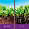 Scotts WeedEx Southern, Weed Killer Controls Dollarweed, Clover, and More,