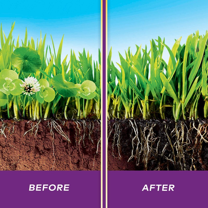 Scotts WeedEx Southern, Weed Killer Controls Dollarweed, Clover, and More,