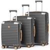 Joyway Hard Shell Luggage Sets 3 Pieces with Spinner Wheels,