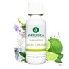 via nordica - Sauna Infusion Green Lime 100 ml