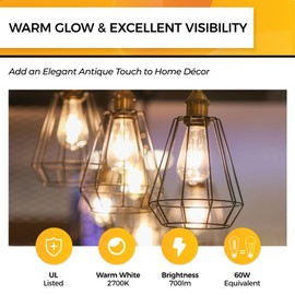 Hizashi Vintage LED Edison Bulb Dimmable, 6W Equivalent 60W, E26 Base Light Bulbs, 2700k Warm White, 700LM, High CRI 95+ Eye Protection, Clear Glass, Pack of 18