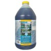 EasyCare FounTec 50064 Algaecide and Clarifier, 64 oz. Bottle, No