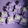 EPOMAKER Wisteria 39gf Linear Mechanical Keyboard Switches, 5-Pin Pre Lubed
