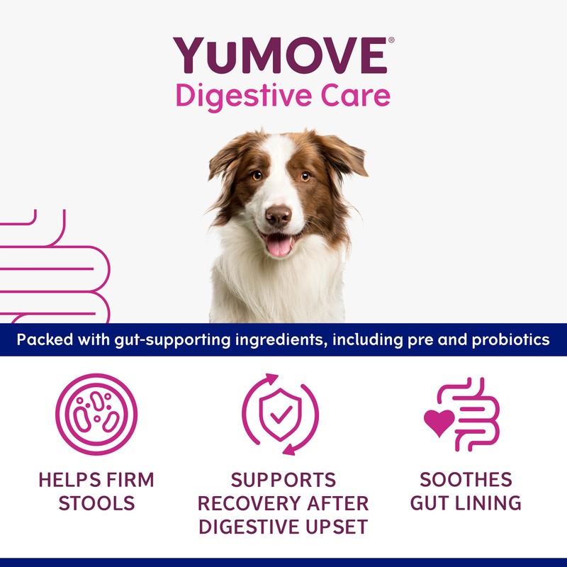 YuMOVE Digestive Care Rapid, Dog Pre and Probiotic Paste for