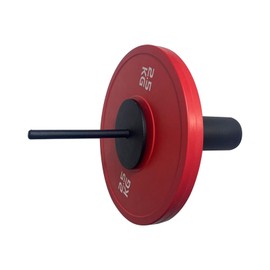 Hellery Fitness Gym Weight Stack Added Steel Weight Loading Pin Workout Barbell Replacement, 8mm x 110mm